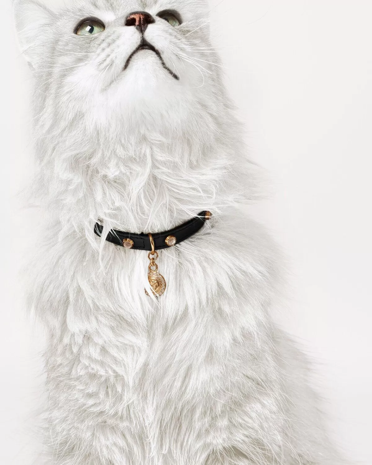 Versace Collier Pour Animal Icon Avec Cristaux