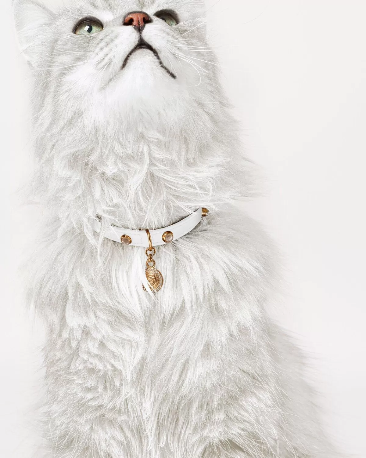 Versace Collier Pour Animal Icon Avec Cristaux