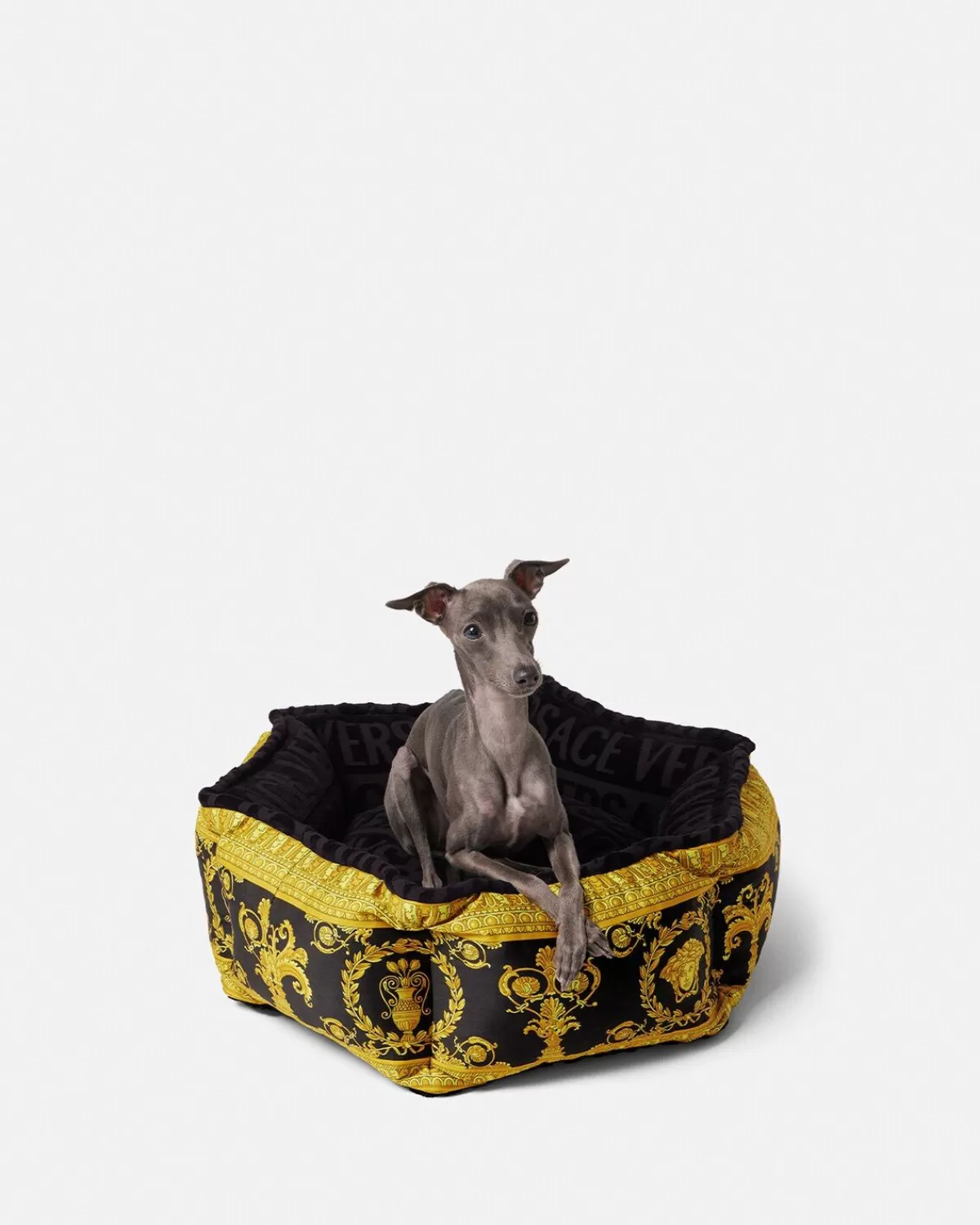 Versace Petit Panier Pour Animal I Baroque