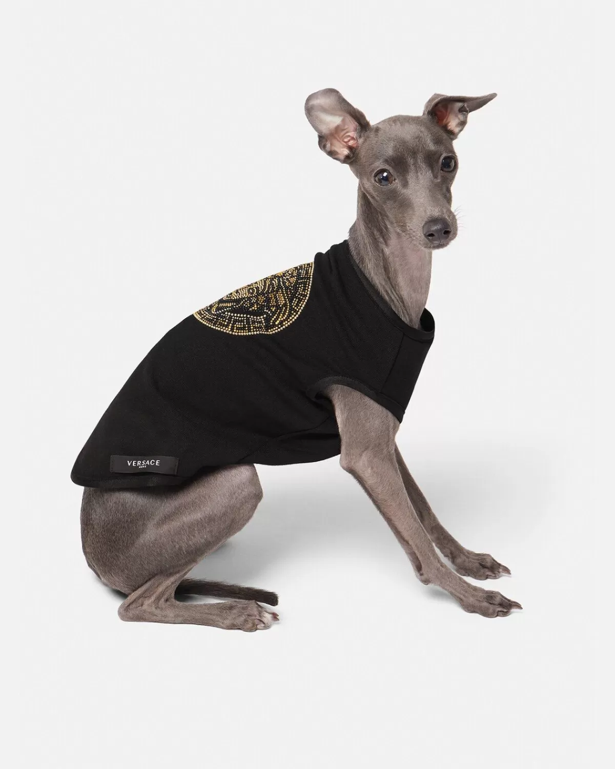 Versace Petit T-Shirt Pour Animal Medusa Cristaux